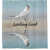 Royal Tern Coastable Customizable Fotografic Duschvorhang (Vorderseite)