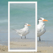 Royal Tern Coastal Beach Fotografie Serviette