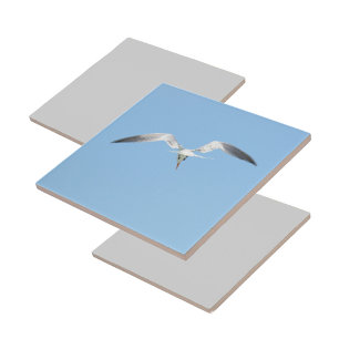 Royal Tern in Flight Coastal Blue Fliese