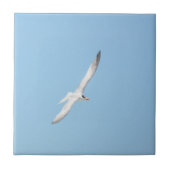 Royal Tern in Flight Fliese (Vorderseite)