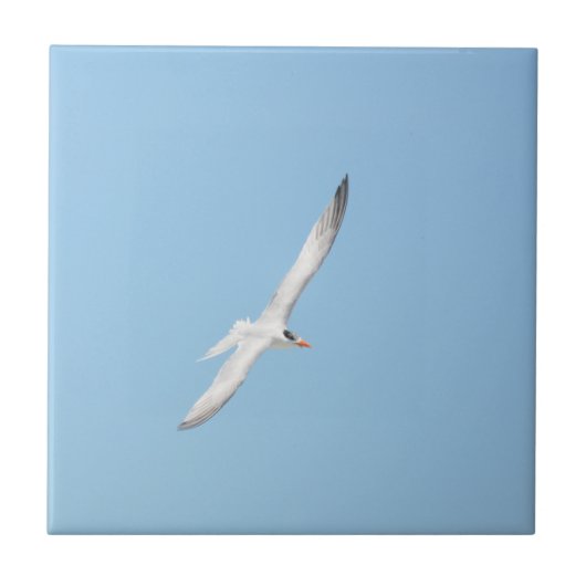 Royal Tern in Flight Fliese (Vorderseite)