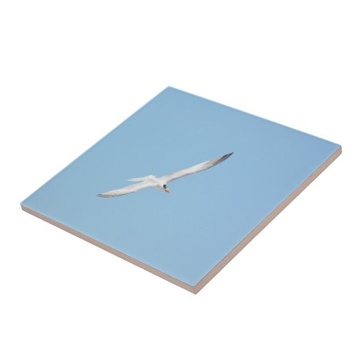 Royal Tern in Flight Fliese (Seite)