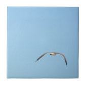 Royal Tern in Flight Seabird Coastal Blue Fliese (Vorderseite)