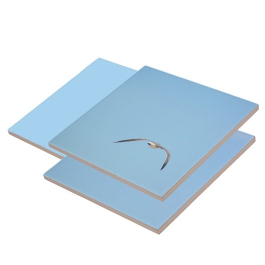 Royal Tern in Flight Seabird Coastal Blue Fliese