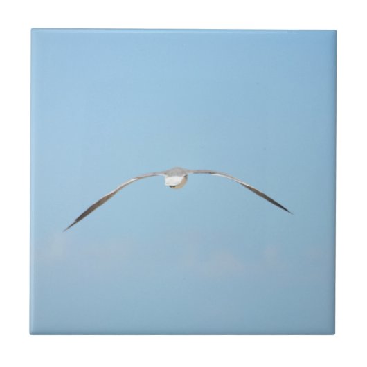 Royal Tern in Flight Wings Spread Sky Coastal Blue Fliese (Vorderseite)