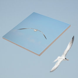 Royal Tern in Flight Wings Spread Sky Coastal Blue Fliese