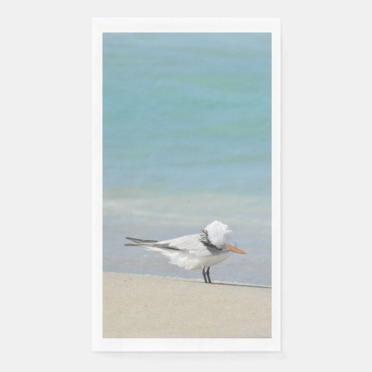 Royal Tern on Beach Seabird Fotografie Serviette (Vorderseite)