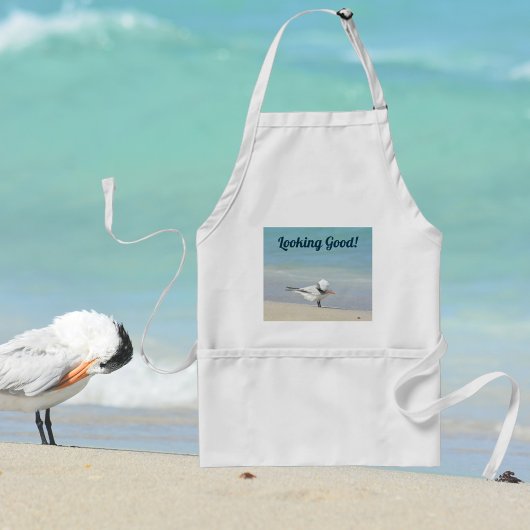 Royal Tern Seabird am Strand sieht gut aus Schürze
