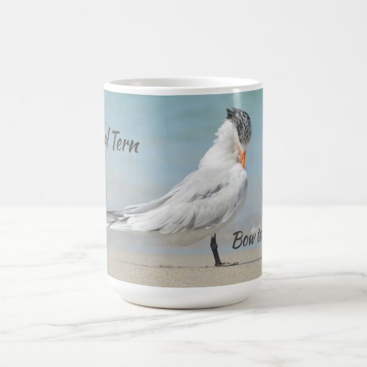Royal Tern Seabird Bow to Royalty Kaffeetasse (Mittel)