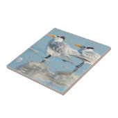 Royal Terns am Strand Fliese (Seite)