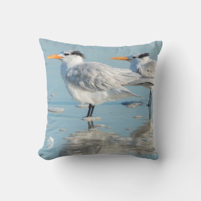 Royal Terns am Strand Kissen (Vorderseite)