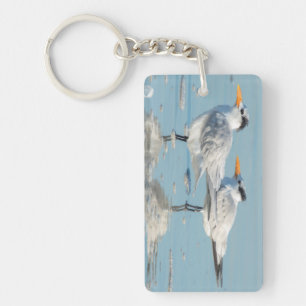 Royal Terns am Strand Schlüsselanhänger