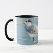 Royal Terns am Strand Tasse (Links)