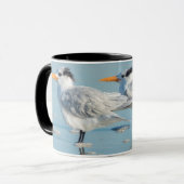 Royal Terns am Strand Tasse (Vorderseite Links)