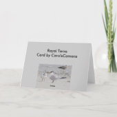 Royal Terns Note Card Feiertagskarte (Rückseite)