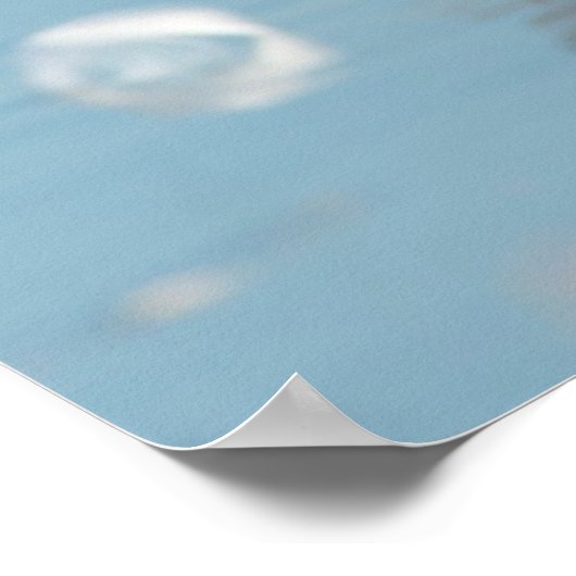 Royal Terns on beach Poster (Ecke)