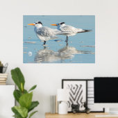 Royal Terns on beach Poster (Heimbüro)