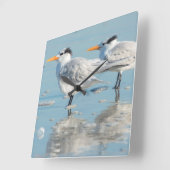Royal Terns on beach Quadratische Wanduhr (Winkel)