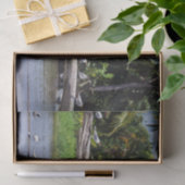 Royal terns, Tortuguero Flussmündung - Costa Rica Seidenpapier (Geschenk)