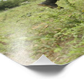 Royal Thai Marines eilt voran Fotodruck (Ecke)