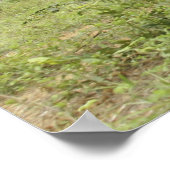 Royal Thai Marines rush forward to secure the s Poster (Ecke)