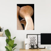 Royal Trumpet Mushroom Foto Poster (Heimbüro)