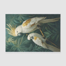 Royalty in White, Tropical Cockatoo Pair mit Gold