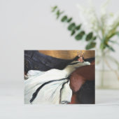 Royalty ist So Posh Postkarte (Stehend Vorderseite)