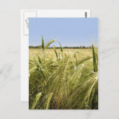 Roye Postcard Postkarte (Vorne/Hinten)