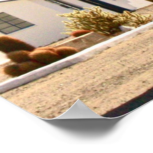 Roy's Motel Cafe Poster (Ecke)