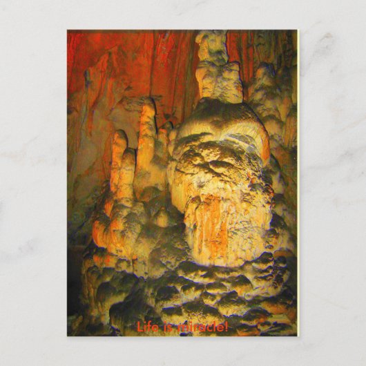 RÖZARD VON DER HÖHE - Postkarte (Vorderseite)