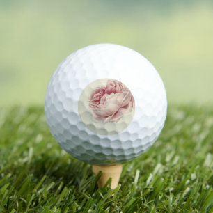 Roze Roos (1792) – Zeitlose, alte botanische Kunst Golfball