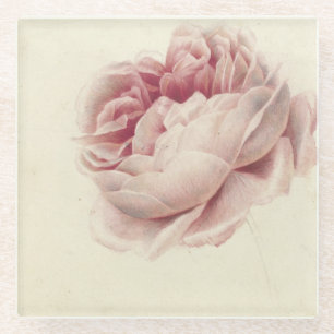 Roze Roos (1792) – Zeitlose Vintage-Botanikkunst Glasuntersetzer