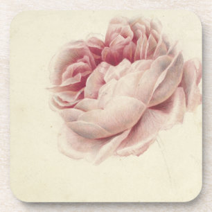 Roze Roos (1792) - Zeitlose Vintage botanische Kun Getränkeuntersetzer