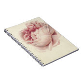 Roze Roos (1792) - Zeitlose Vintage botanische Kun Notizblock (Rechte Seite)