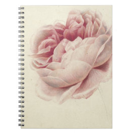 Roze Roos (1792) - Zeitlose Vintage botanische Kun Notizblock
