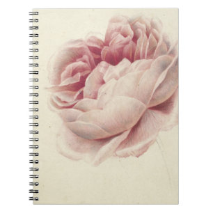 Roze Roos (1792) - Zeitlose Vintage botanische Kun Notizblock