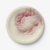 Roze Roos (1792) - Zeitlose Vintage botanische Kun Pappteller (Vorderseite)