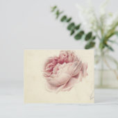 Roze Roos (1792) - Zeitlose Vintage botanische Kun Postkarte (Stehend Vorderseite)