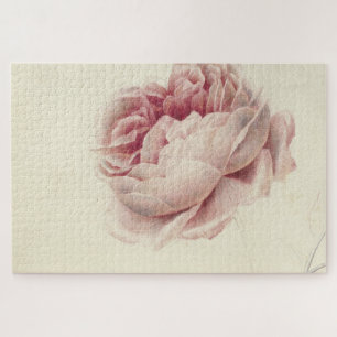 Roze Roos (1792) - Zeitlose Vintage botanische Kun Puzzle