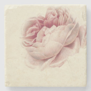 Roze Roos (1792) - Zeitlose Vintage botanische Kun Steinuntersetzer