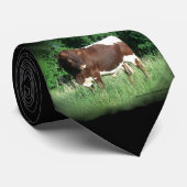 RRF2MichaelOaks Krawatte (Gerollt)