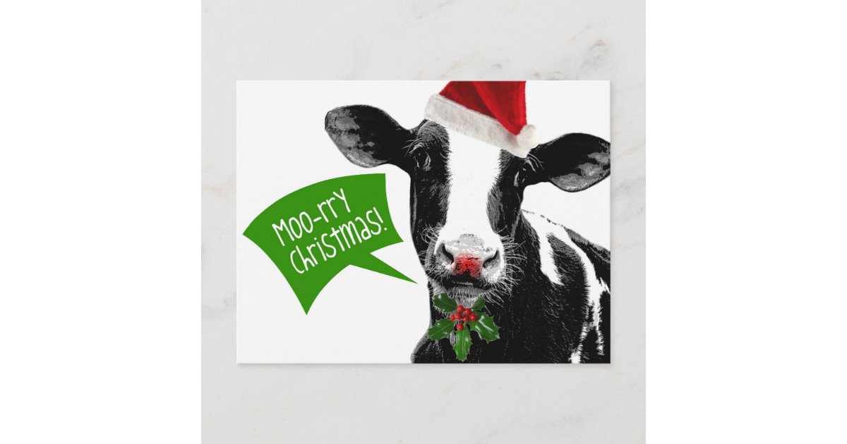 Rry Weihnachten MOO! Lustige Feiertags-Kuh in der | Zazzle.de