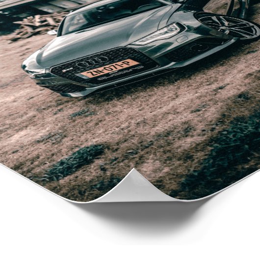 rs6beast poster (Ecke)