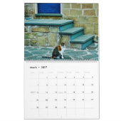 RSD auf der ganzen Welt | Katzen auf dem Balkan Kalender (Mär 2027)