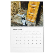 RSD auf der ganzen Welt | Katzen Marokkos Kalender (Feb 2026)
