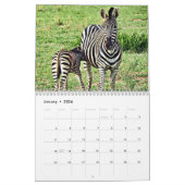 RSD auf der ganzen Welt | Südafrikanische Safari - Kalender (Jan 2026)