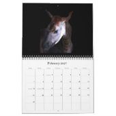 rSEANd - Natur Kalender (Feb 2027)