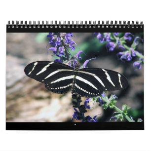 rSEANd - Natur Kalender