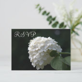 RSVP Hochzeitkarten Weiße Limone Hydrangea (Stehend Vorderseite)